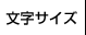 文字サイズ